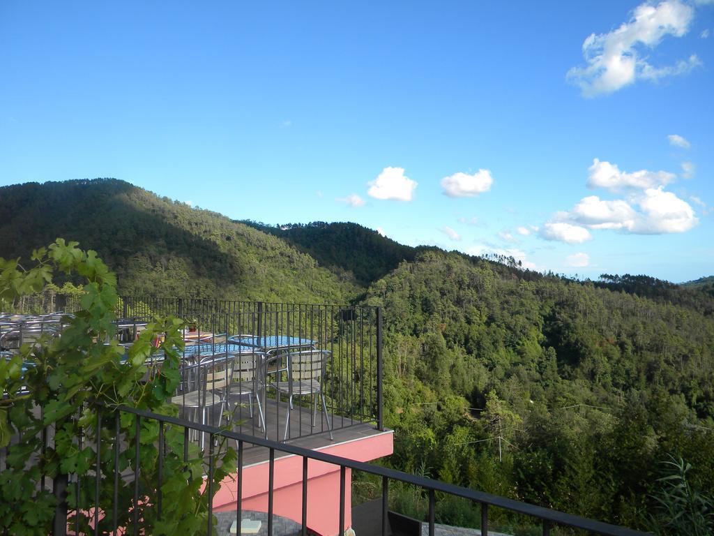 I Gelsi E I Castagni Villa Polverara Exterior photo