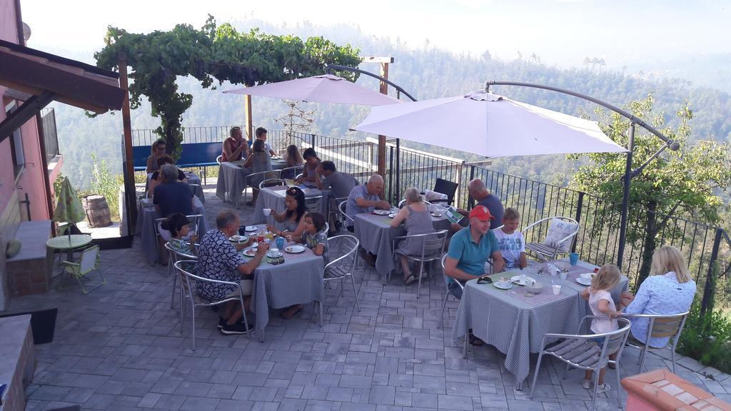 I Gelsi E I Castagni Villa Polverara Exterior photo