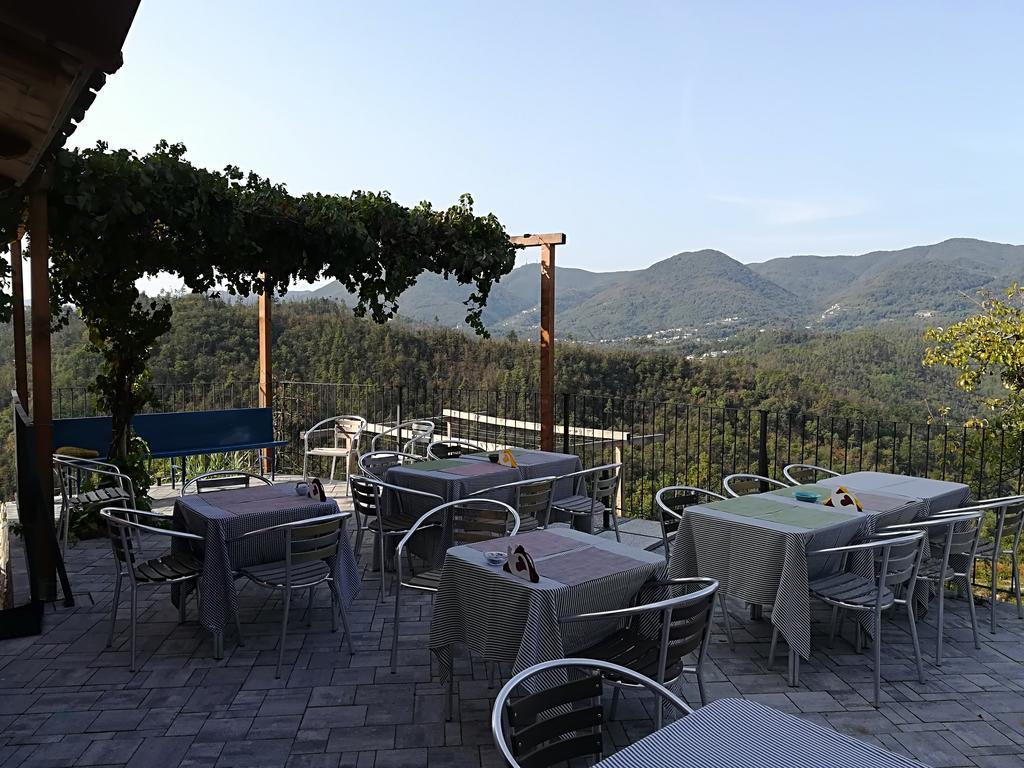 I Gelsi E I Castagni Villa Polverara Exterior photo