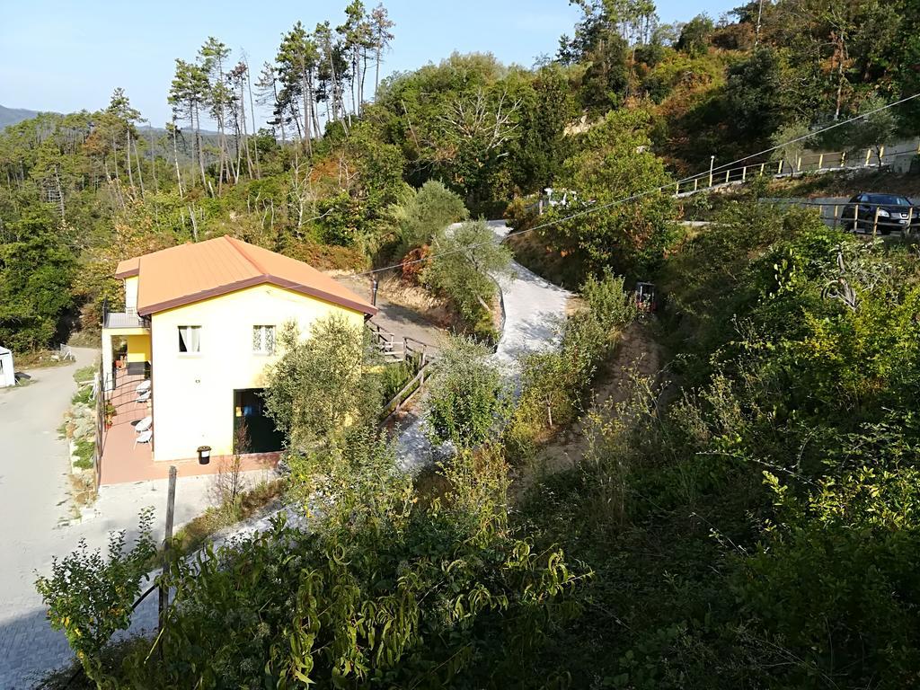 I Gelsi E I Castagni Villa Polverara Exterior photo