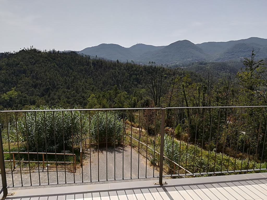 I Gelsi E I Castagni Villa Polverara Exterior photo