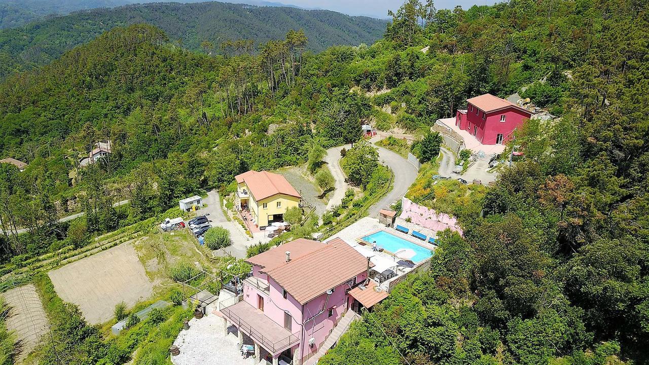 I Gelsi E I Castagni Villa Polverara Exterior photo